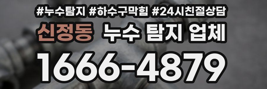 신정동 누수 탐지 업체