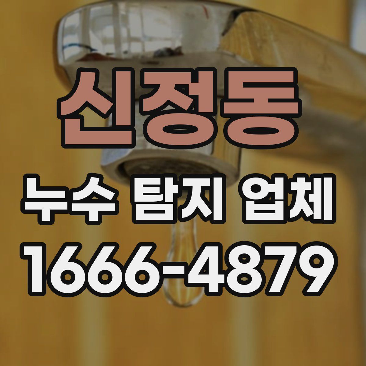 신정동 누수 탐지 업체