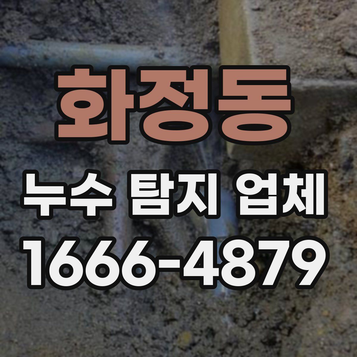 화정동 누수 탐지 업체
