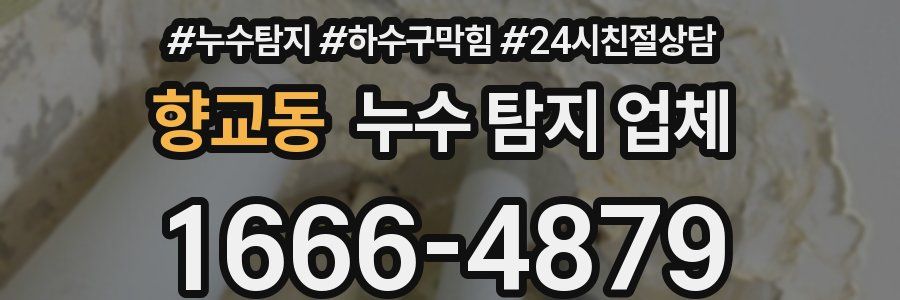 향교동 누수 탐지 업체