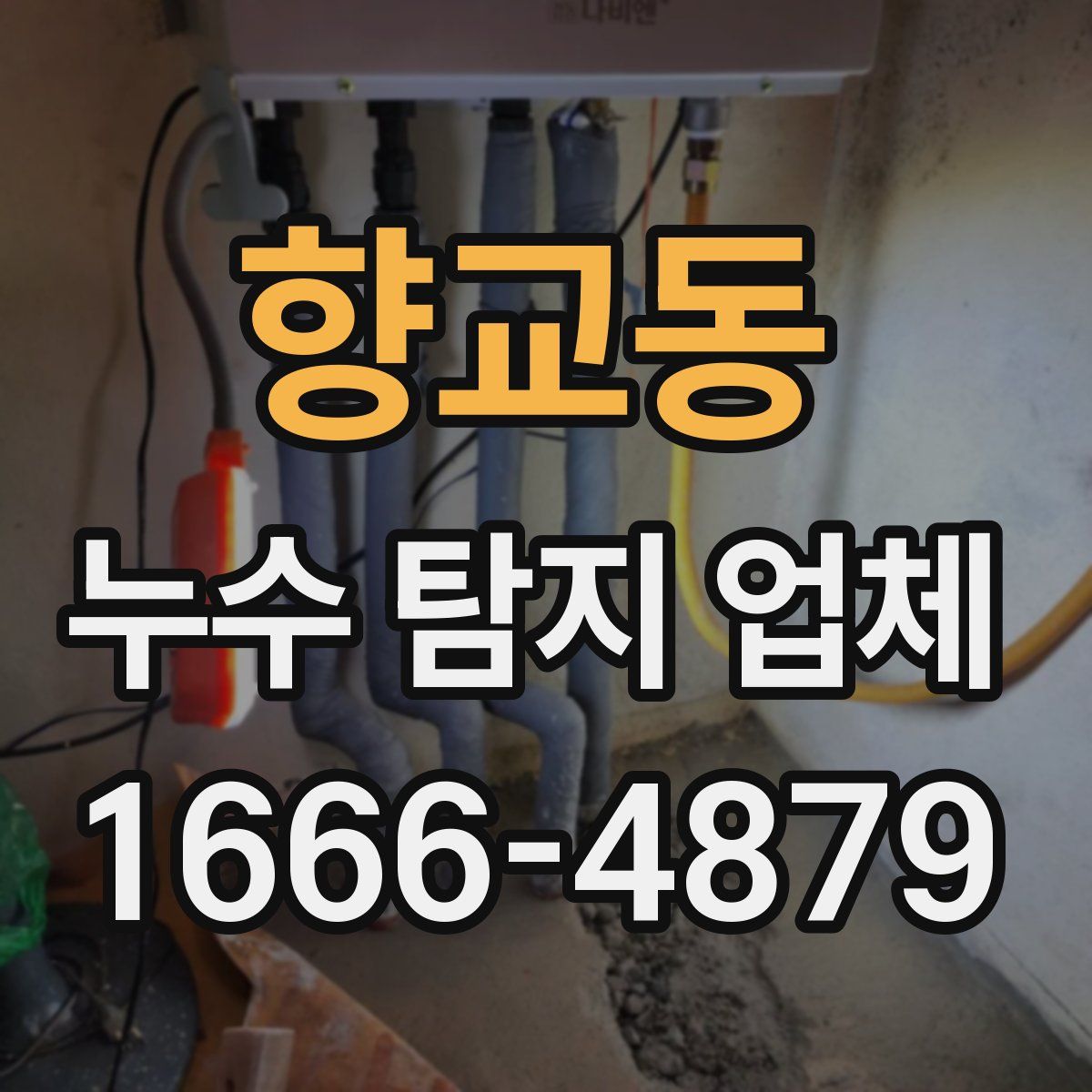 향교동 누수 탐지 업체
