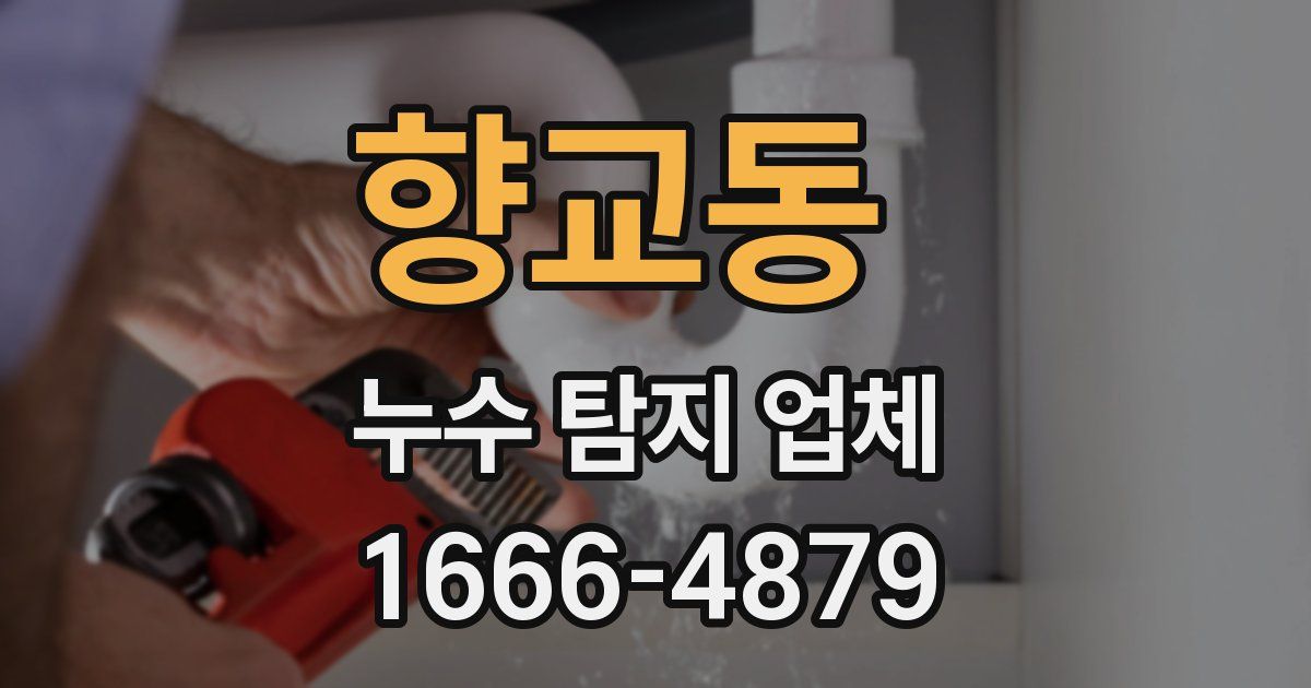향교동 누수 탐지 업체