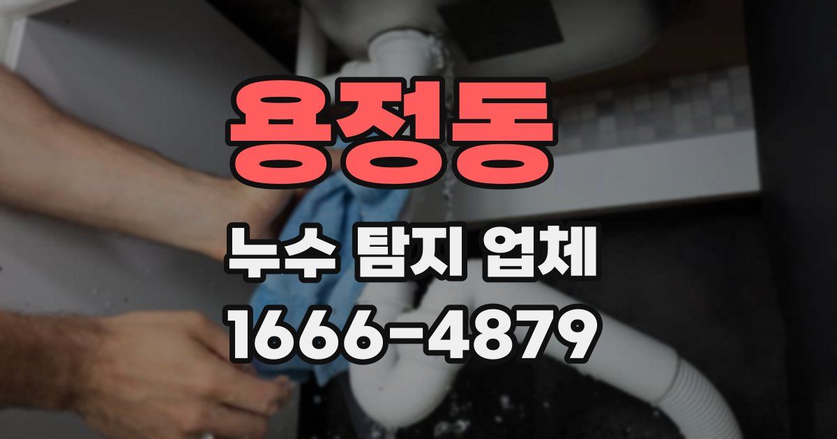 용정동 누수 탐지 업체