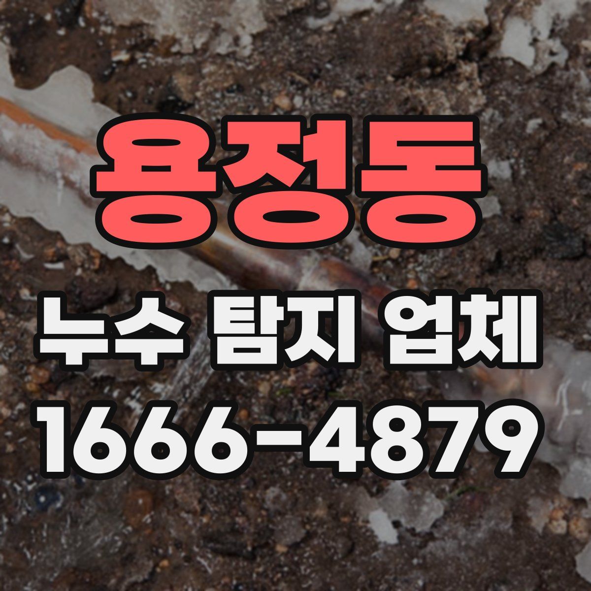 용정동 누수 탐지 업체