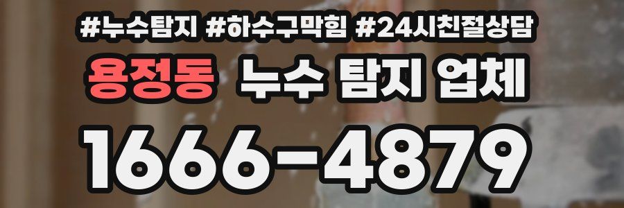 용정동 누수 탐지 업체