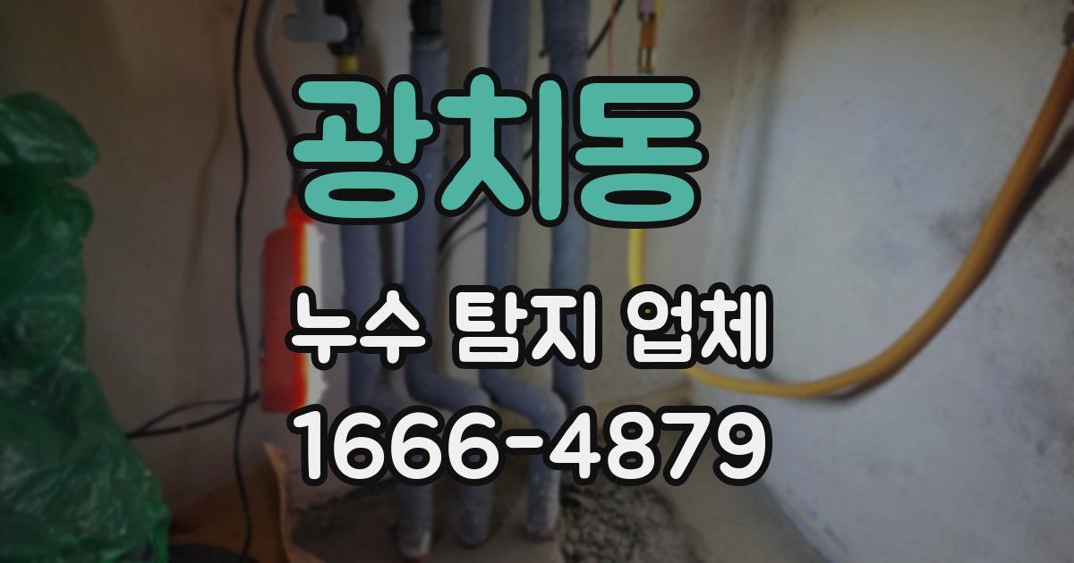 광치동 누수 탐지 업체