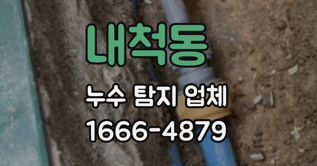 내척동 누수 탐지 업체