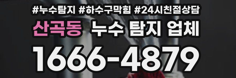산곡동 누수 탐지 업체