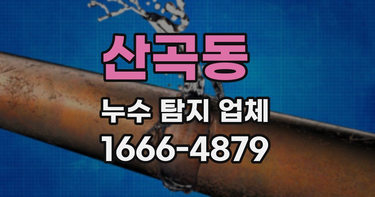 산곡동 누수 탐지 업체