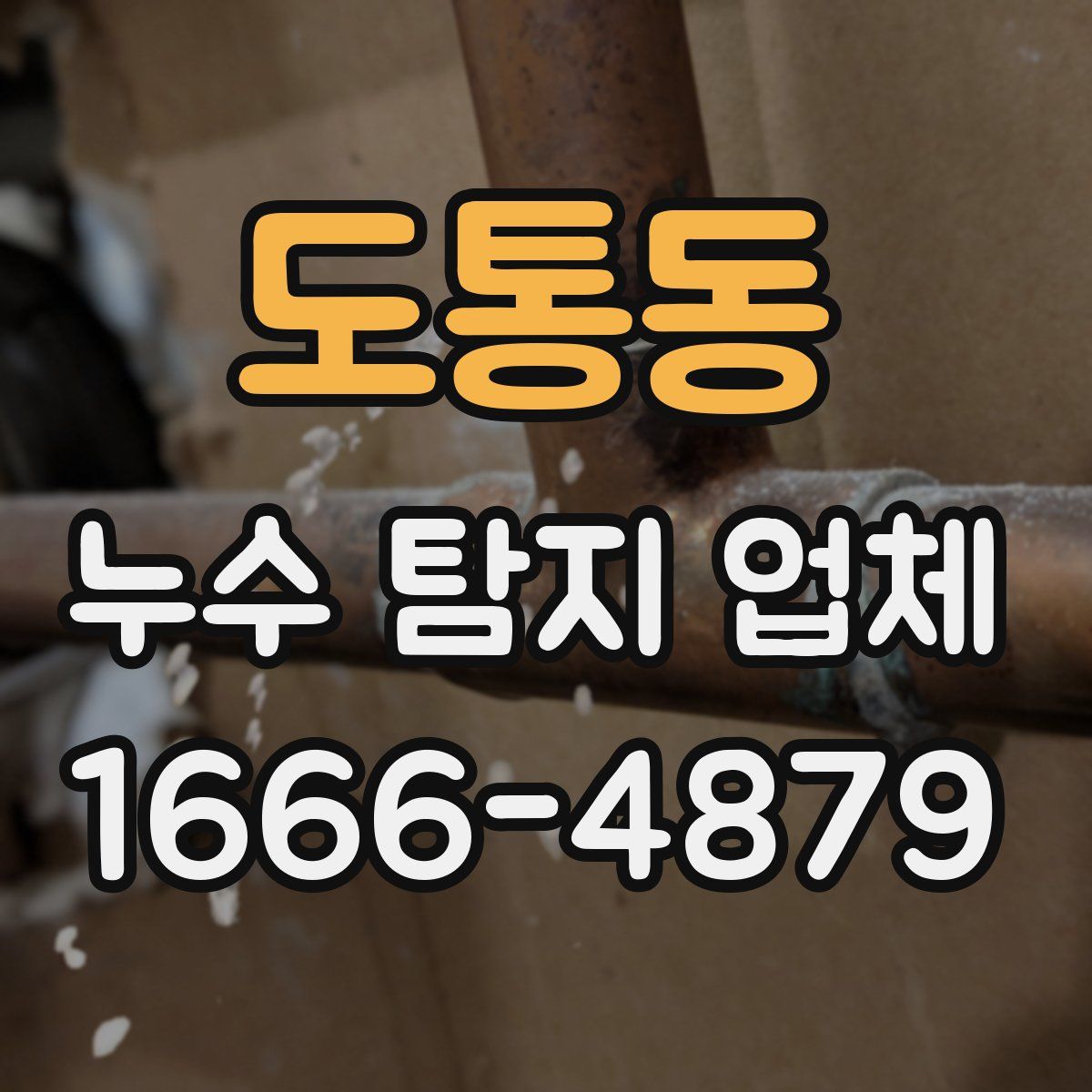 도통동 누수 탐지 업체