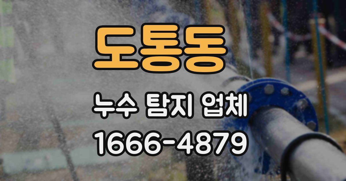 도통동 누수 탐지 업체