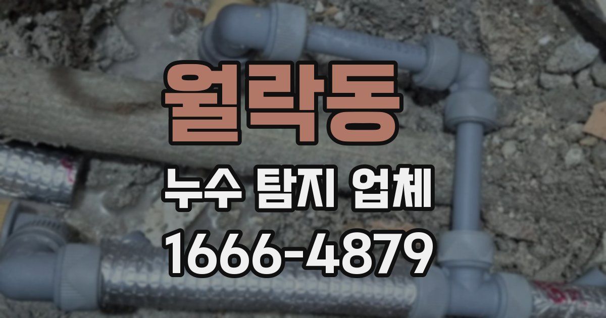 월락동 누수 탐지 업체