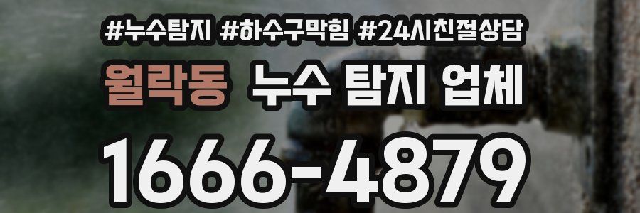 월락동 누수 탐지 업체