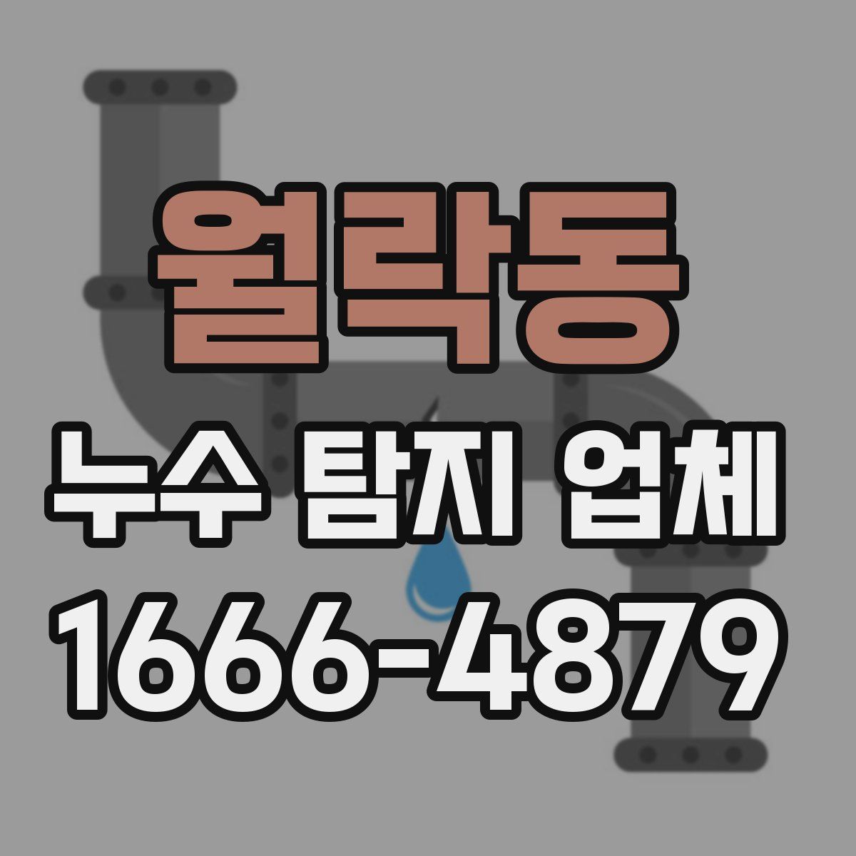 월락동 누수 탐지 업체