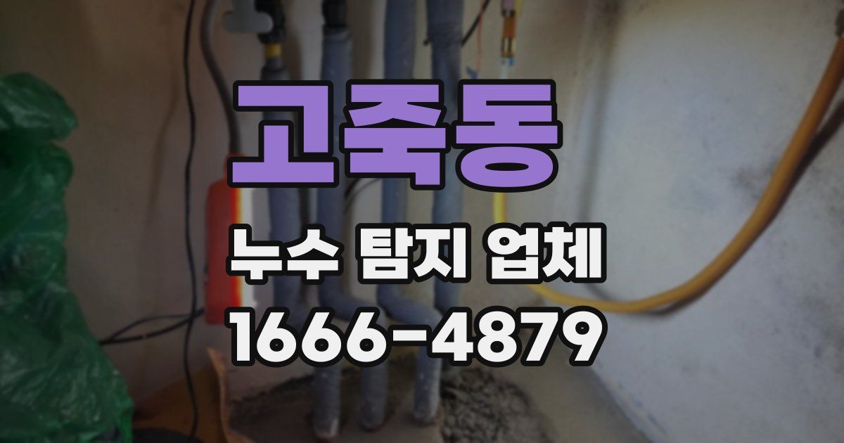 고죽동 누수 탐지 업체