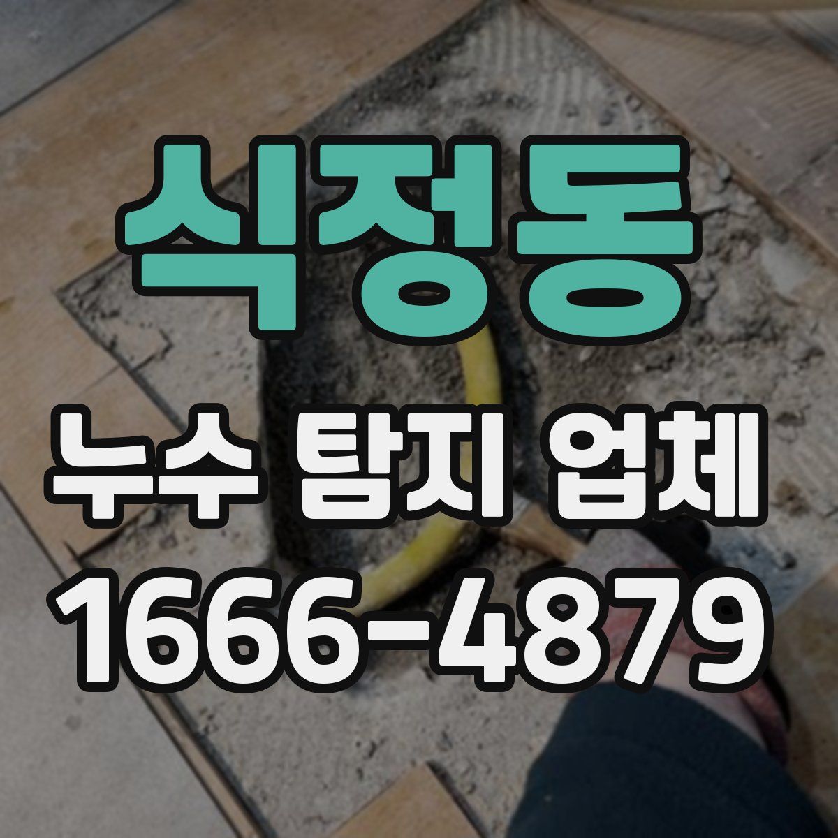 식정동 누수 탐지 업체