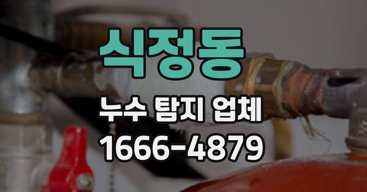 식정동 누수 탐지 업체