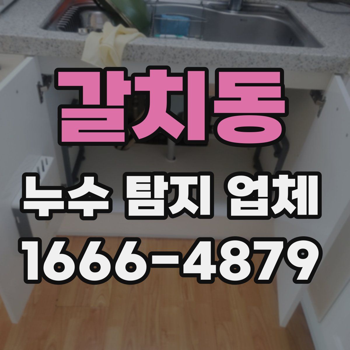 갈치동 누수 탐지 업체