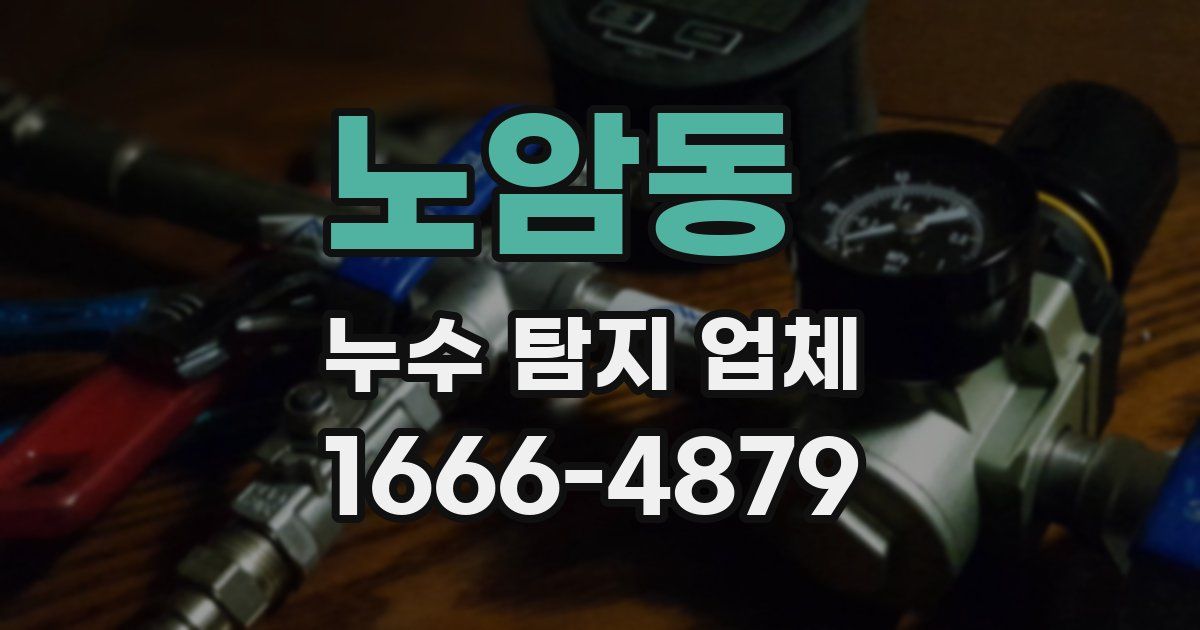 노암동 누수 탐지 업체