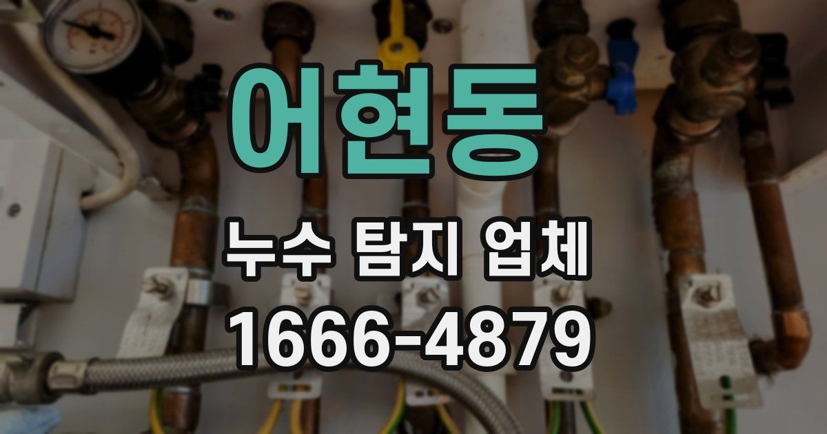 어현동 누수 탐지 업체