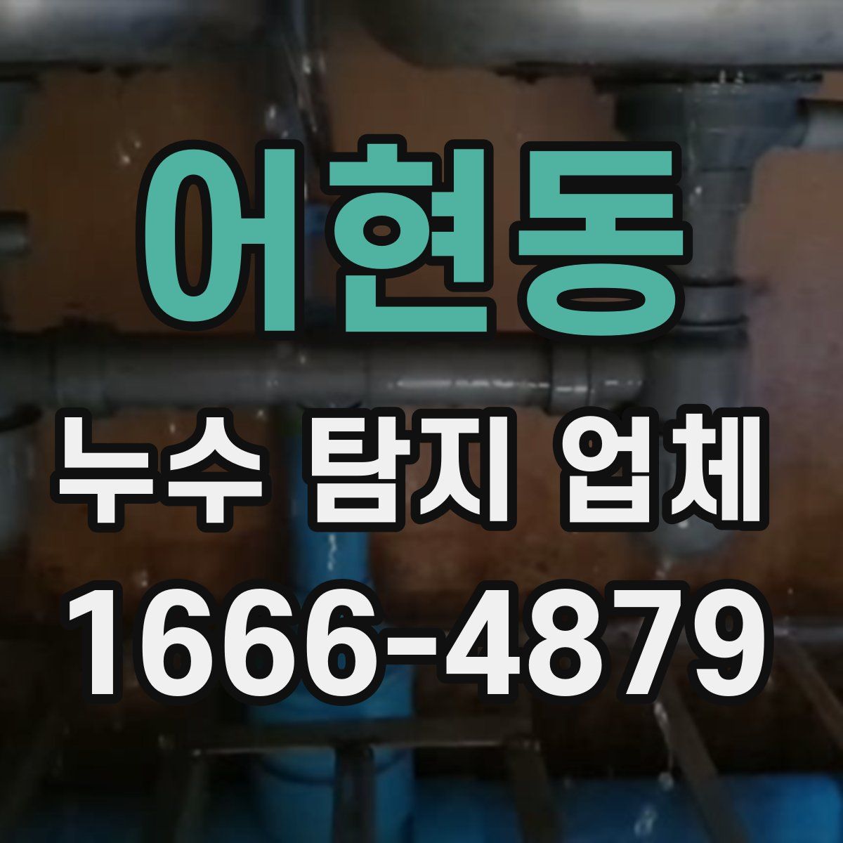 어현동 누수 탐지 업체