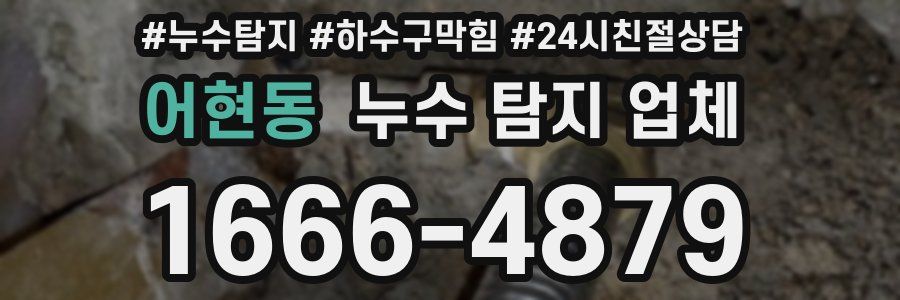 어현동 누수 탐지 업체