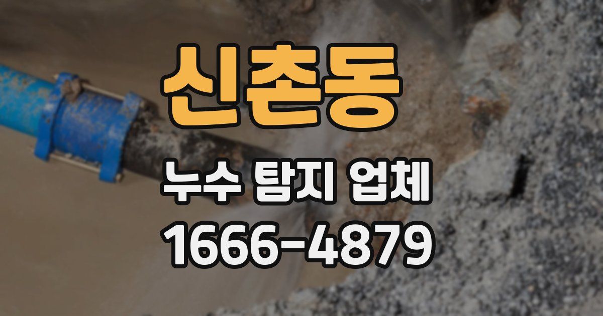 신촌동 누수 탐지 업체