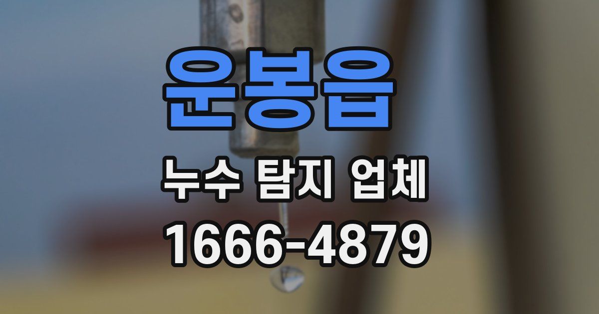 운봉읍 누수 탐지 업체