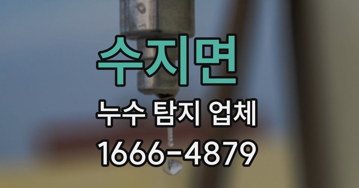 수지면 누수 탐지 업체
