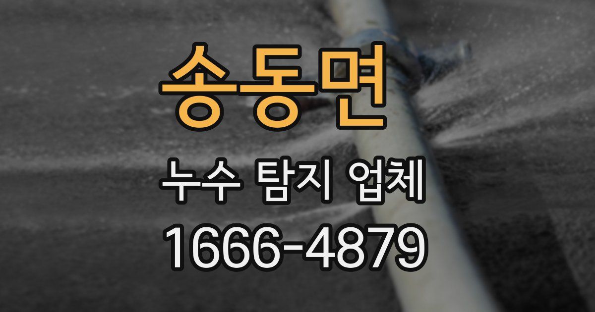 송동면 누수 탐지 업체