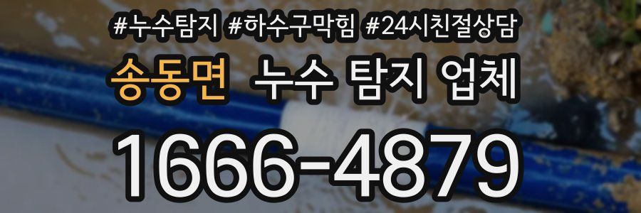 송동면 누수 탐지 업체