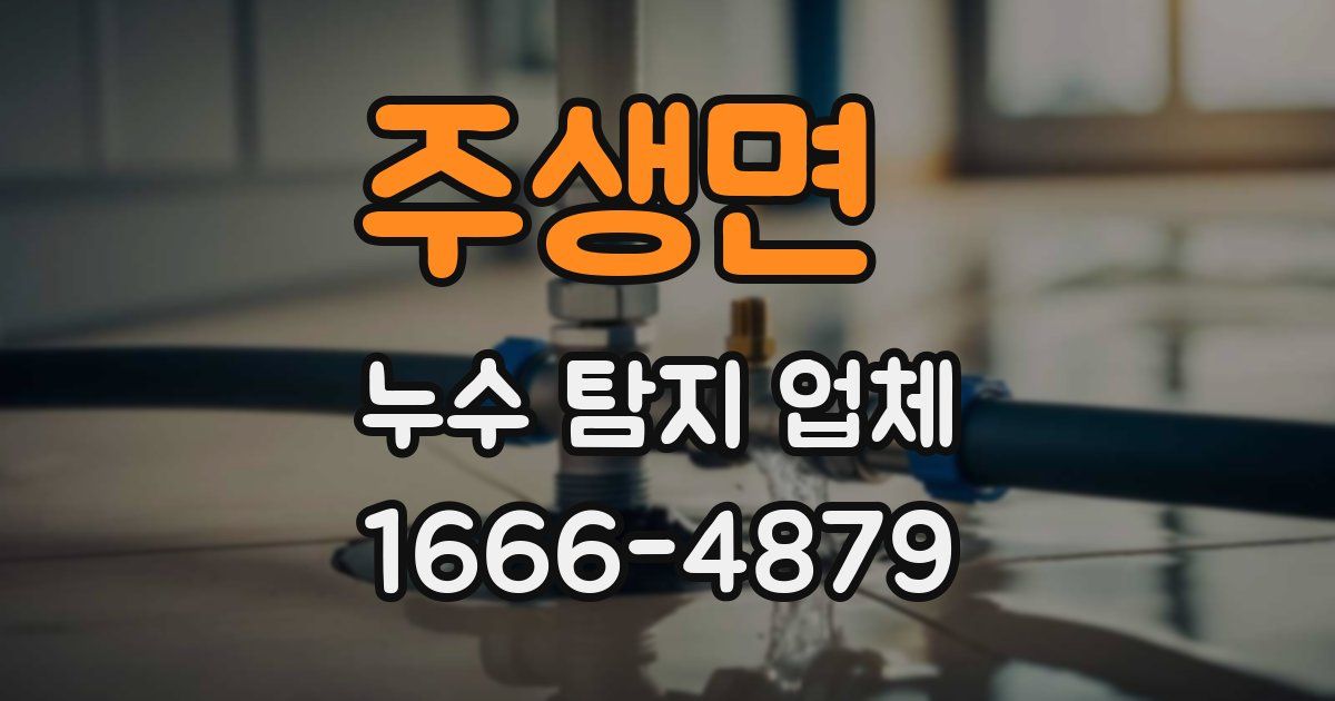 주생면 누수 탐지 업체