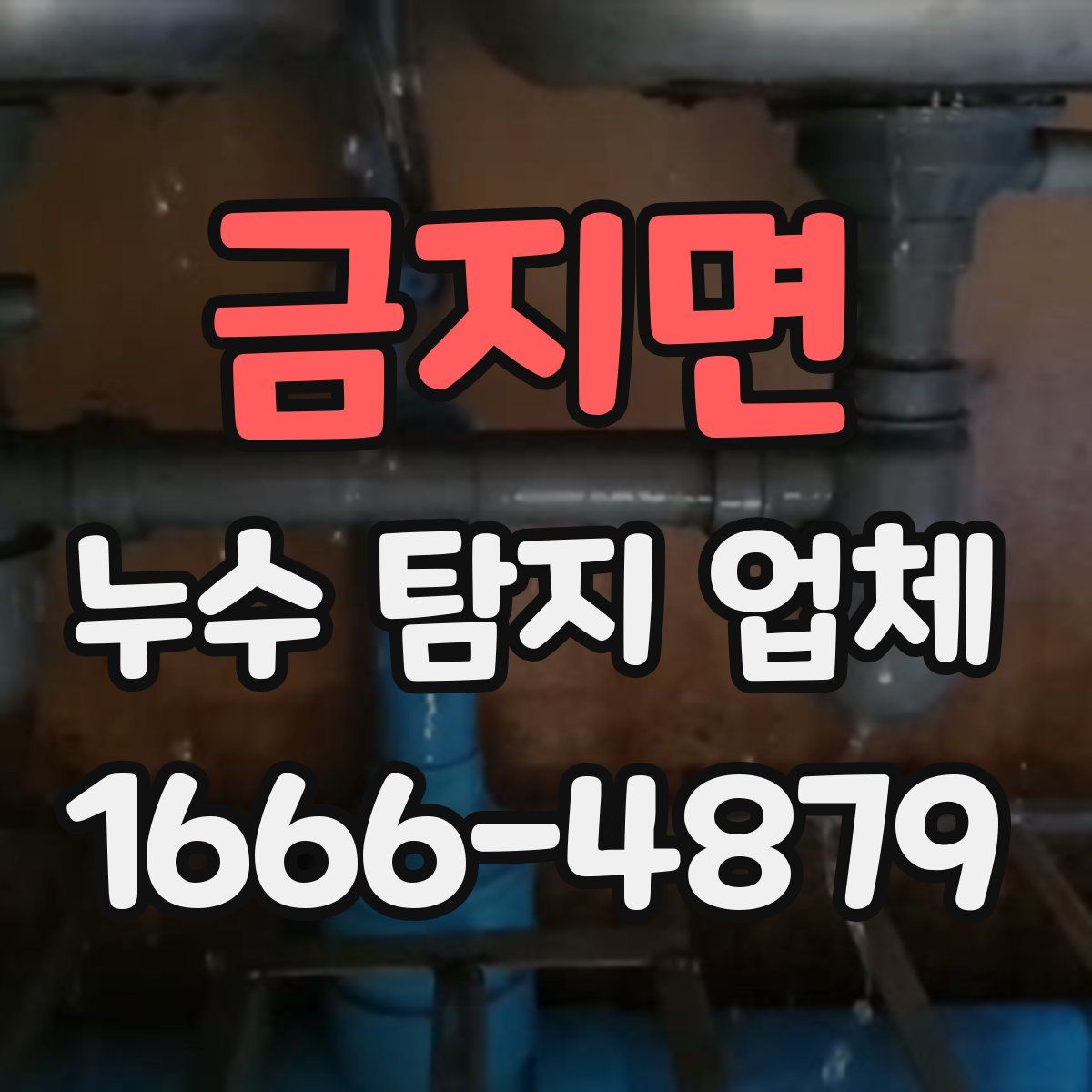 금지면 누수 탐지 업체