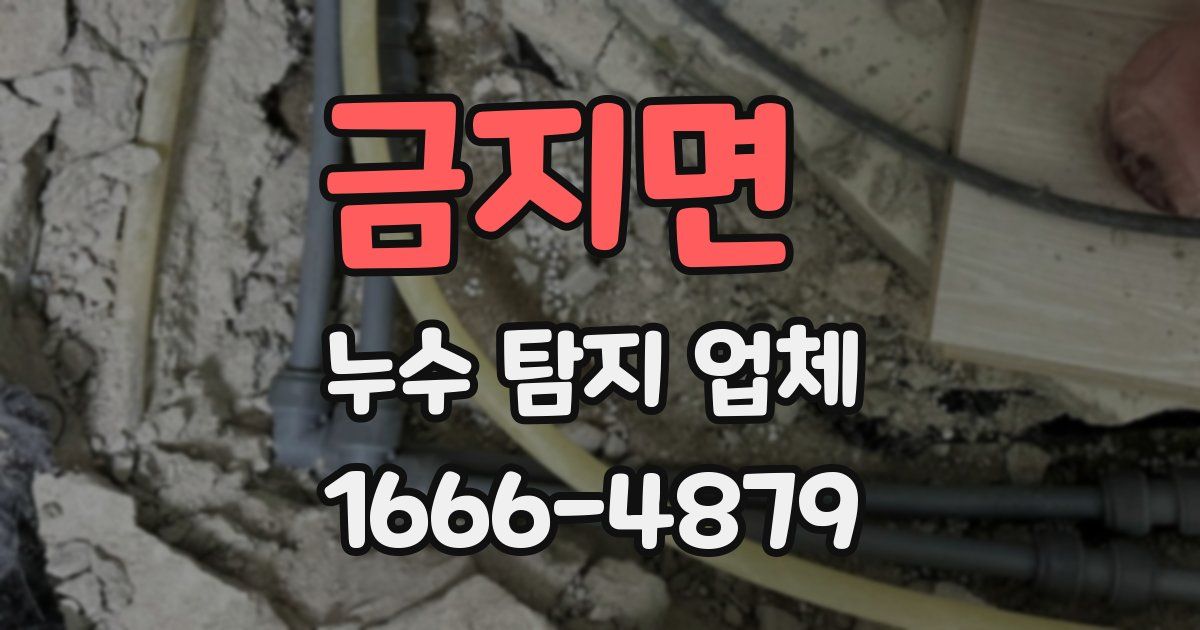 금지면 누수 탐지 업체