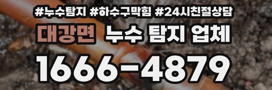 대강면 누수 탐지 업체