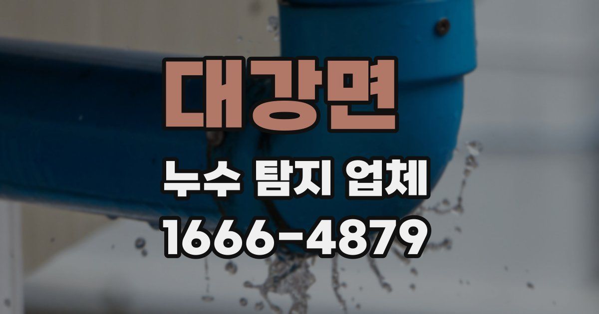 대강면 누수 탐지 업체