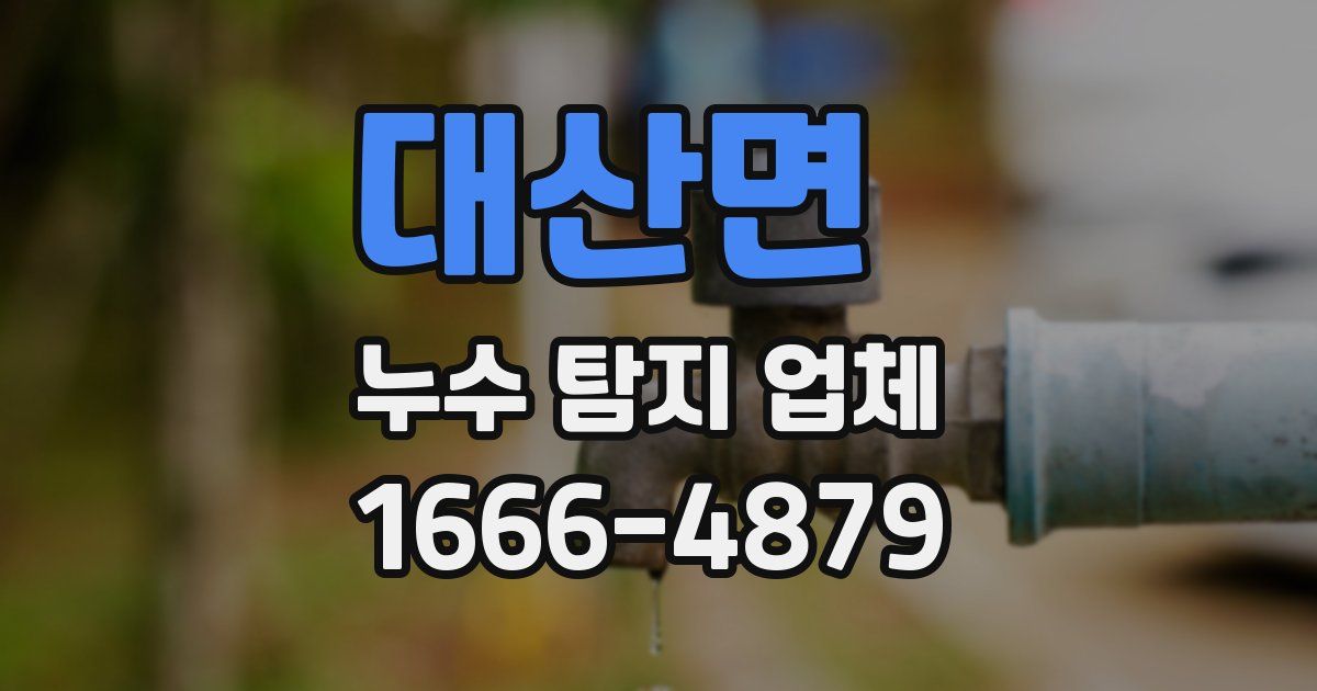 대산면 누수 탐지 업체