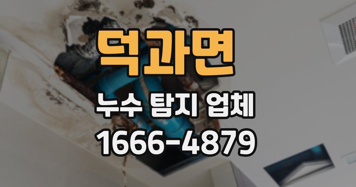 덕과면 누수 탐지 업체