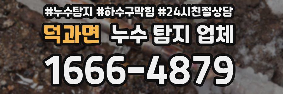 덕과면 누수 탐지 업체