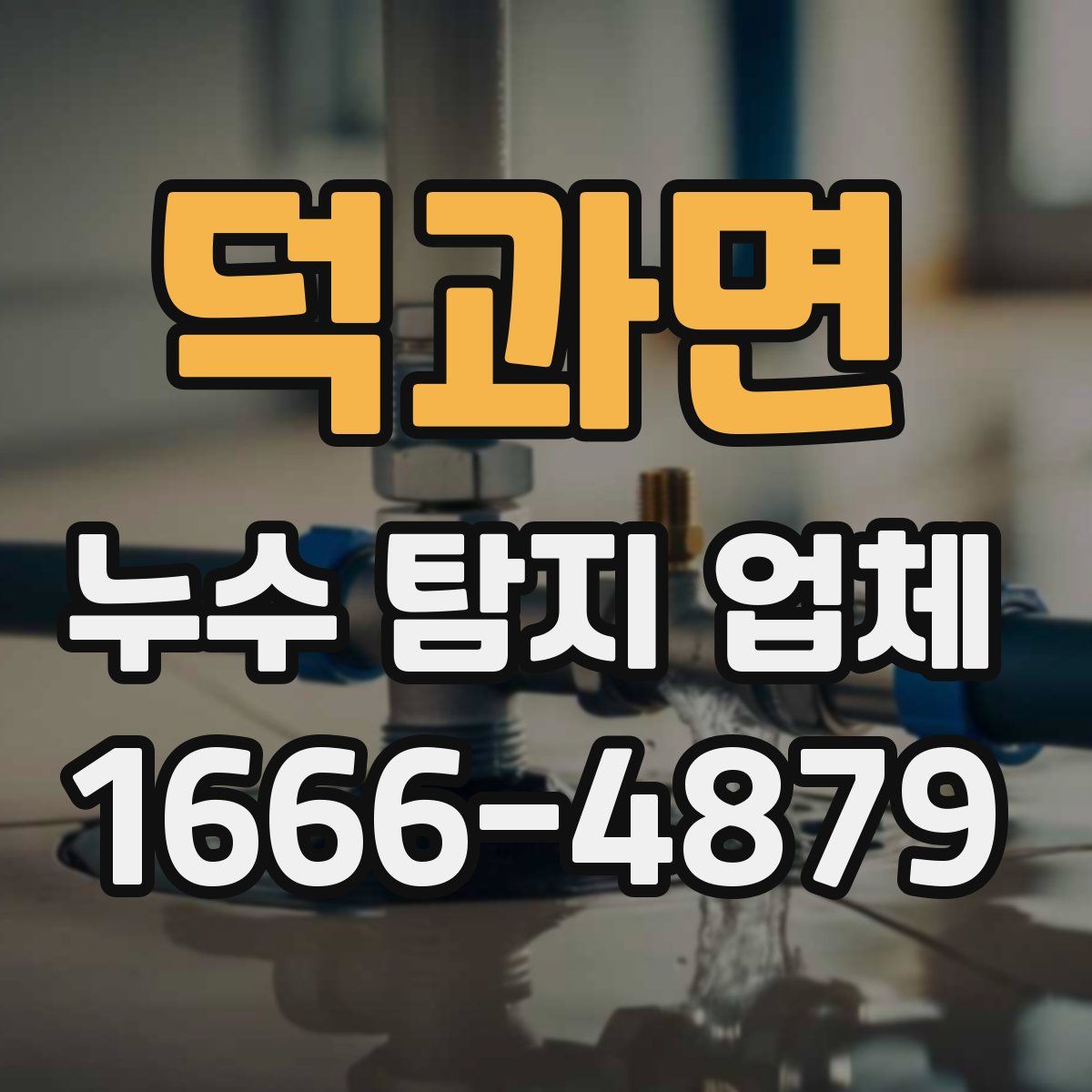 덕과면 누수 탐지 업체