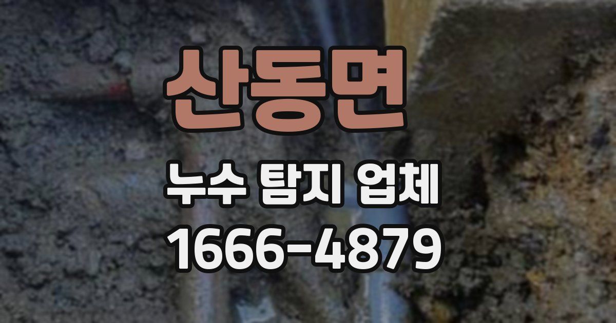 산동면 누수 탐지 업체