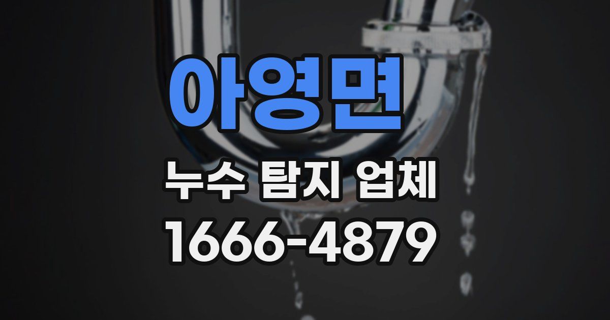 아영면 누수 탐지 업체