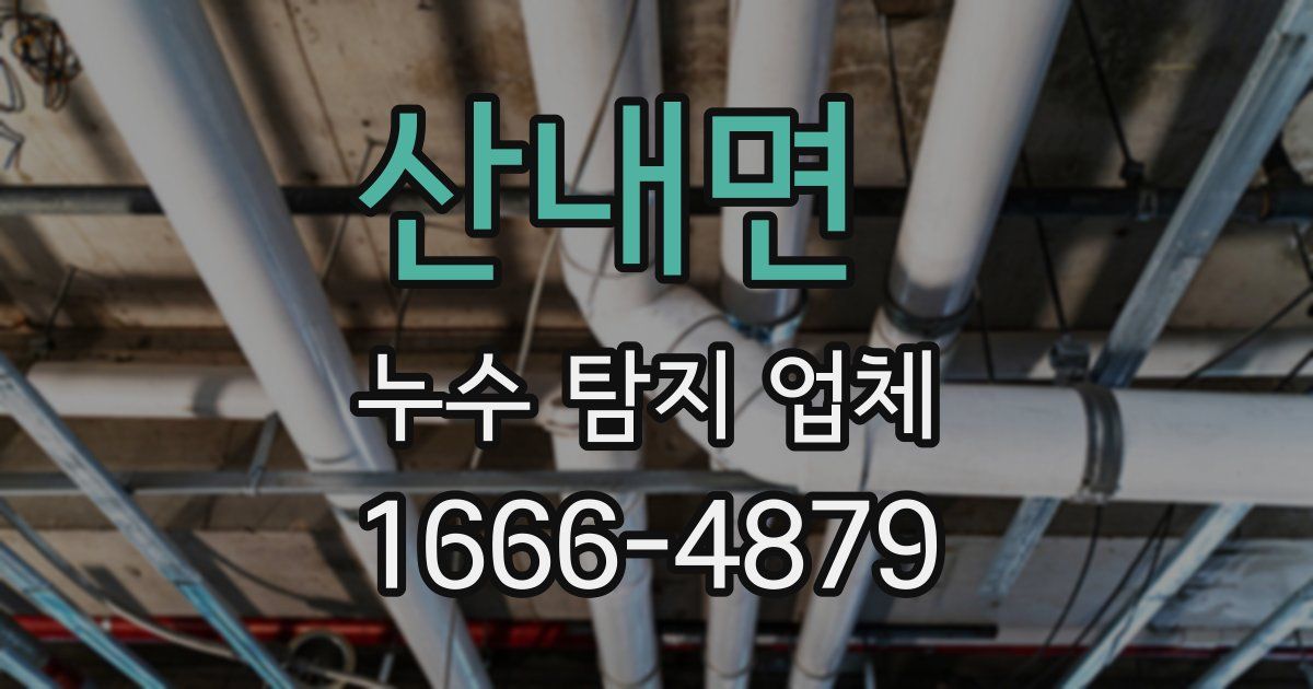 산내면 누수 탐지 업체