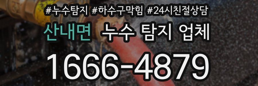 산내면 누수 탐지 업체