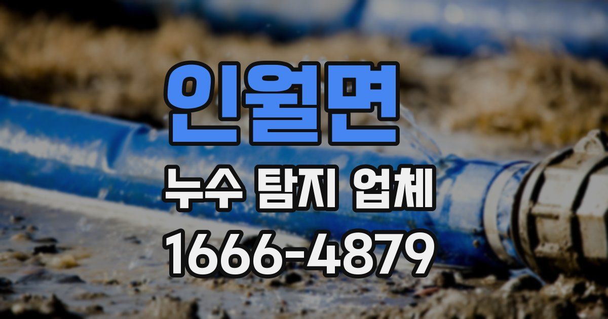 인월면 누수 탐지 업체