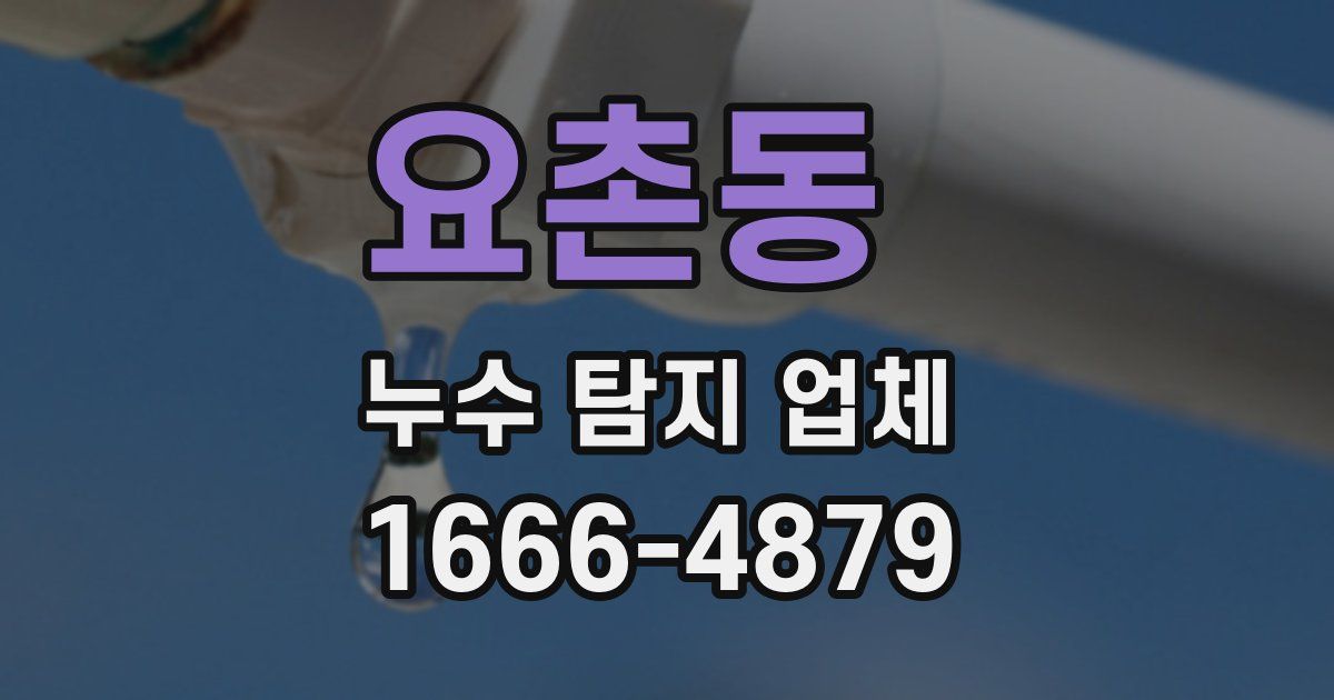요촌동 누수 탐지 업체