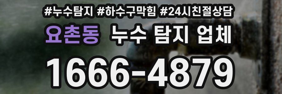 요촌동 누수 탐지 업체
