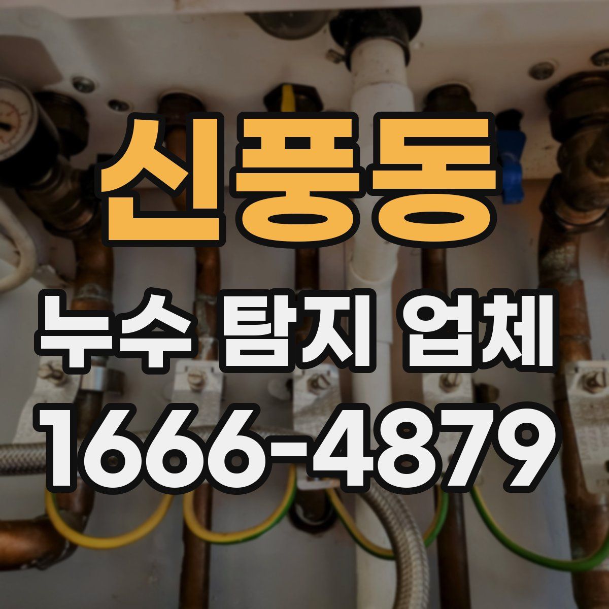 신풍동 누수 탐지 업체