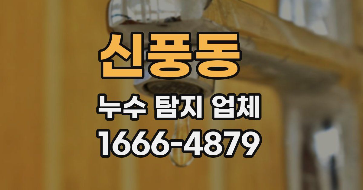신풍동 누수 탐지 업체