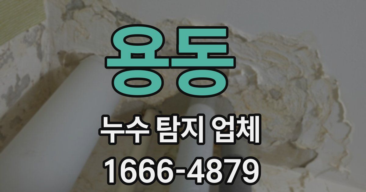 용동 누수 탐지 업체